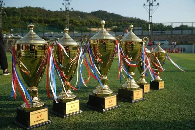 赵继伟25+11张镇麟19分辽宁胜广东 胡明轩21分